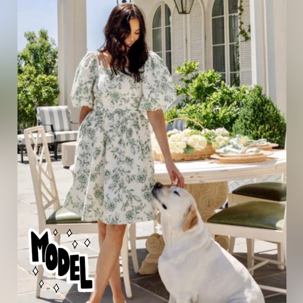 Rachel Parcell Green Toile Puff Sleeve Cotton Dress. Size 12. Great dress!